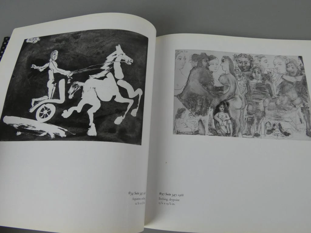 Boek Picasso Inside the Image - Prints uit Ludwig Museum - foto 10