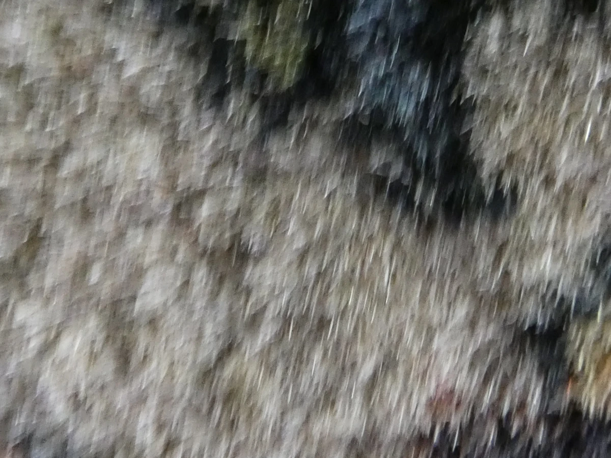 Groot, handgeweven Perzisch tapijt in Bidjar-stijl – 295 × 245 cm - foto 11