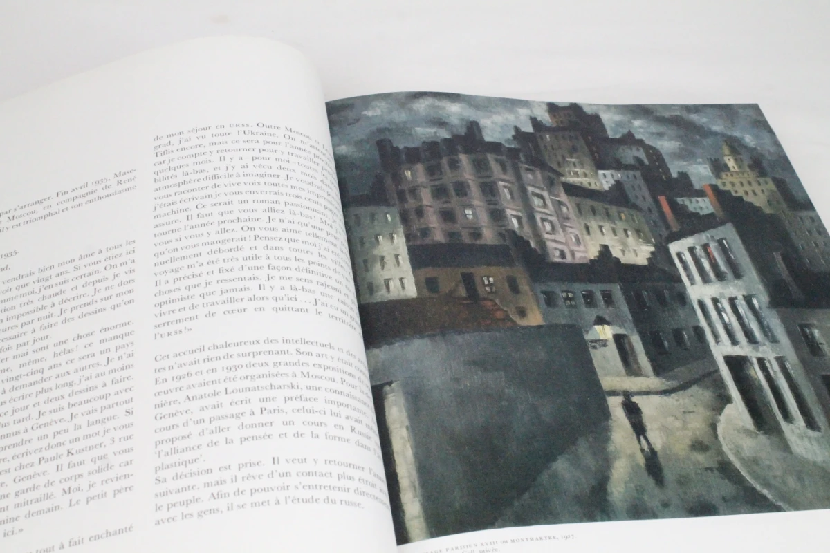 Kunstboek: Masereel - foto 4