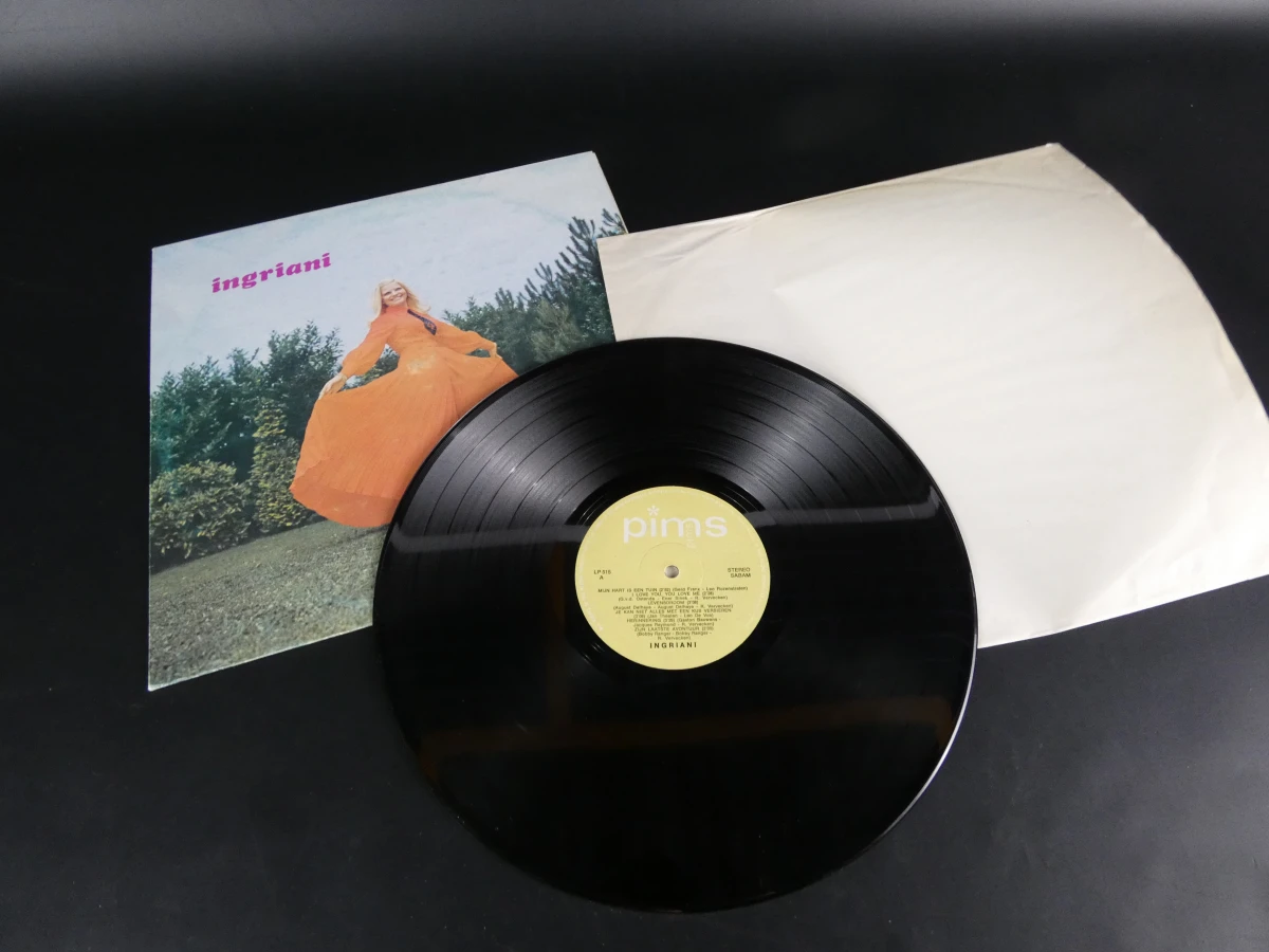 Set van 4 vintage Nederlandstalige LP's - foto 20