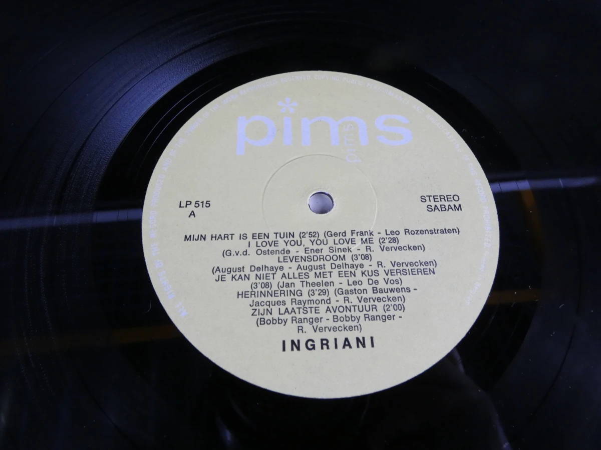 Set van 4 vintage Nederlandstalige LP's - foto 21