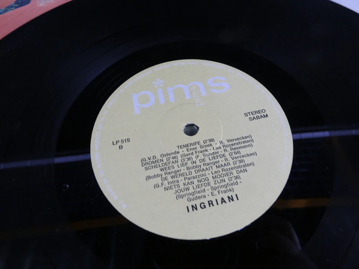 Set van 4 vintage Nederlandstalige LP's - foto 22