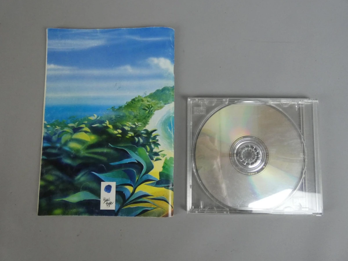 The Settlers II: Veni, Vidi, Vici en The Settlers II Mission CD (Big Box PC-games) - foto 4