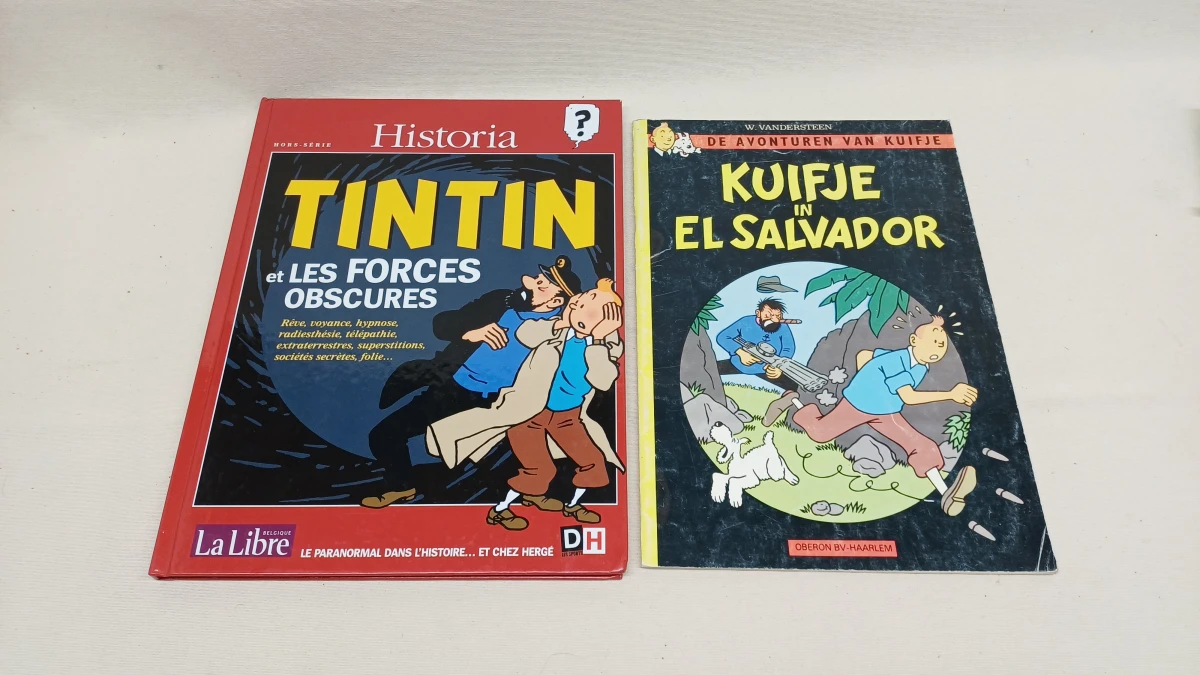 Lot Kuifje met strips, boeken en wandpaneel - foto 4
