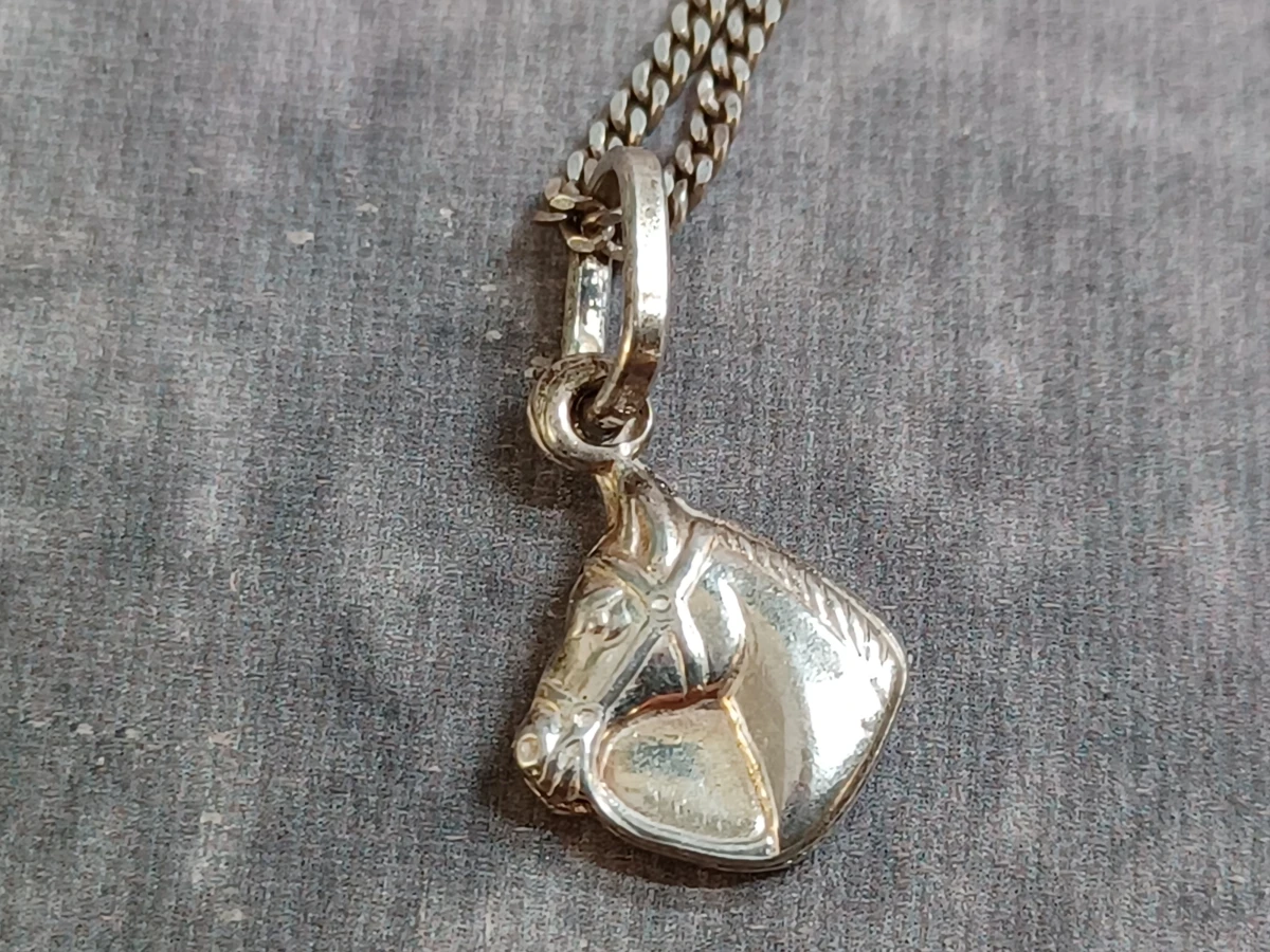 Zilveren lange ketting met paardenkop hanger - Sterling zilver / 925 - foto 6