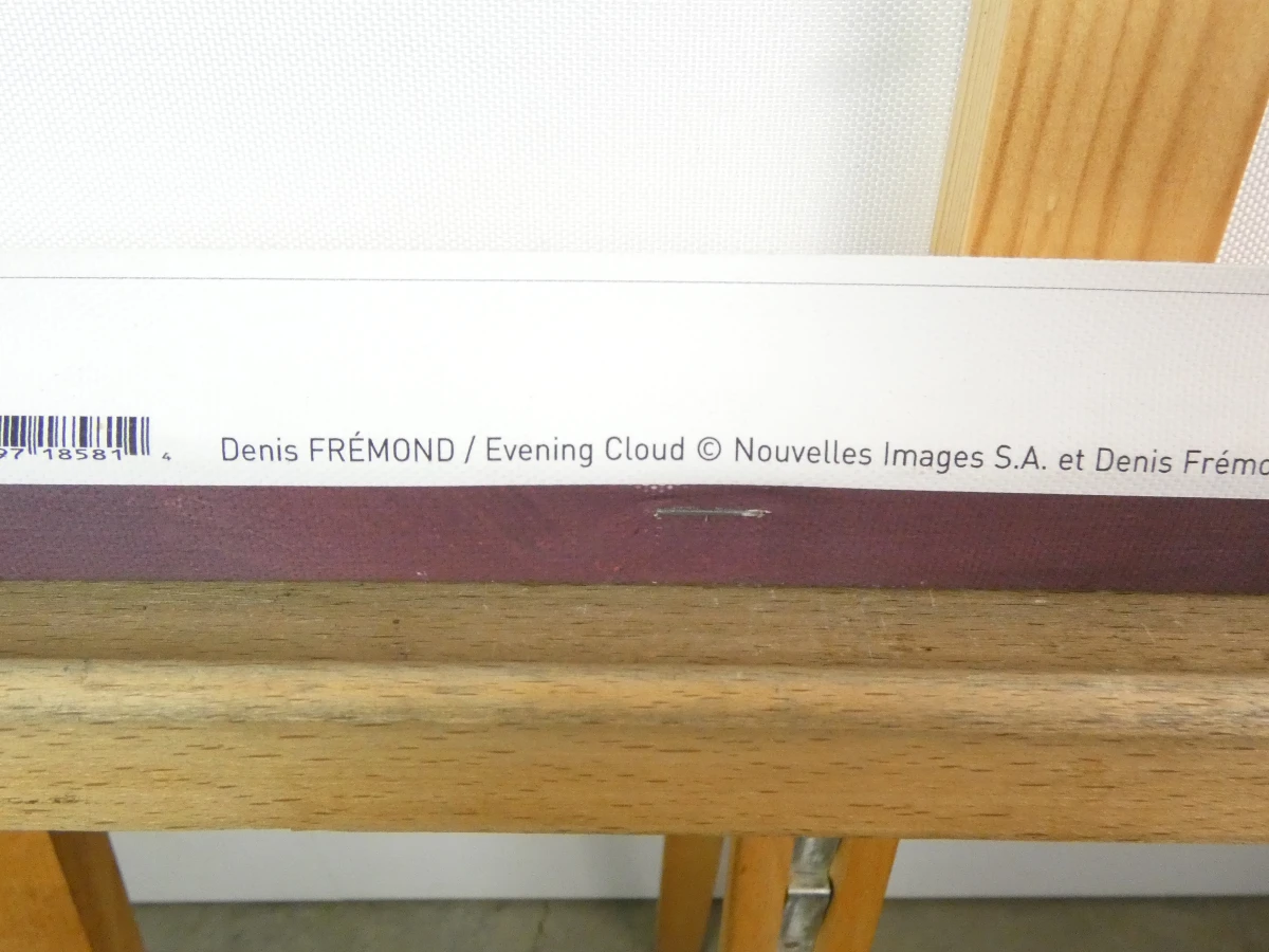 Decoratieve canvasprint Evening Cloud van Denis Frémond - foto 8
