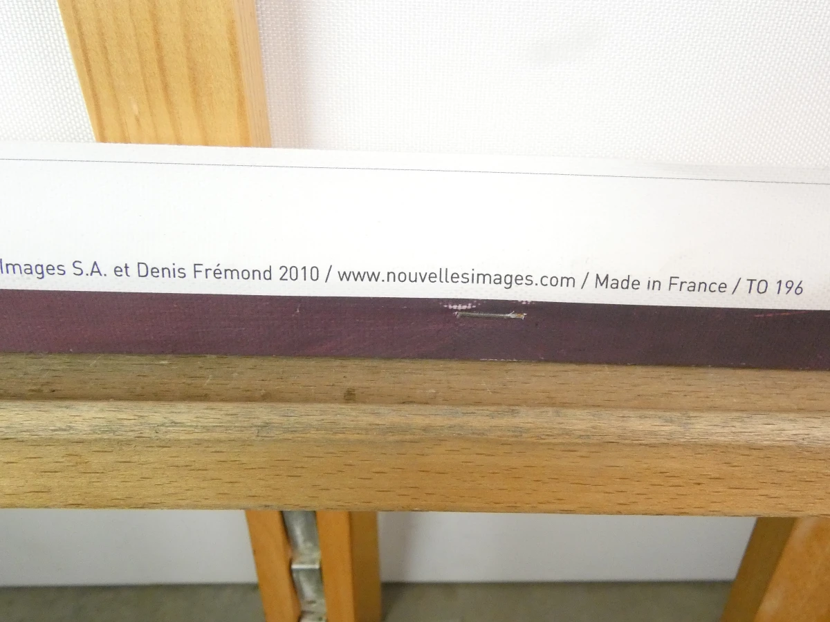 Decoratieve canvasprint Evening Cloud van Denis Frémond - foto 9