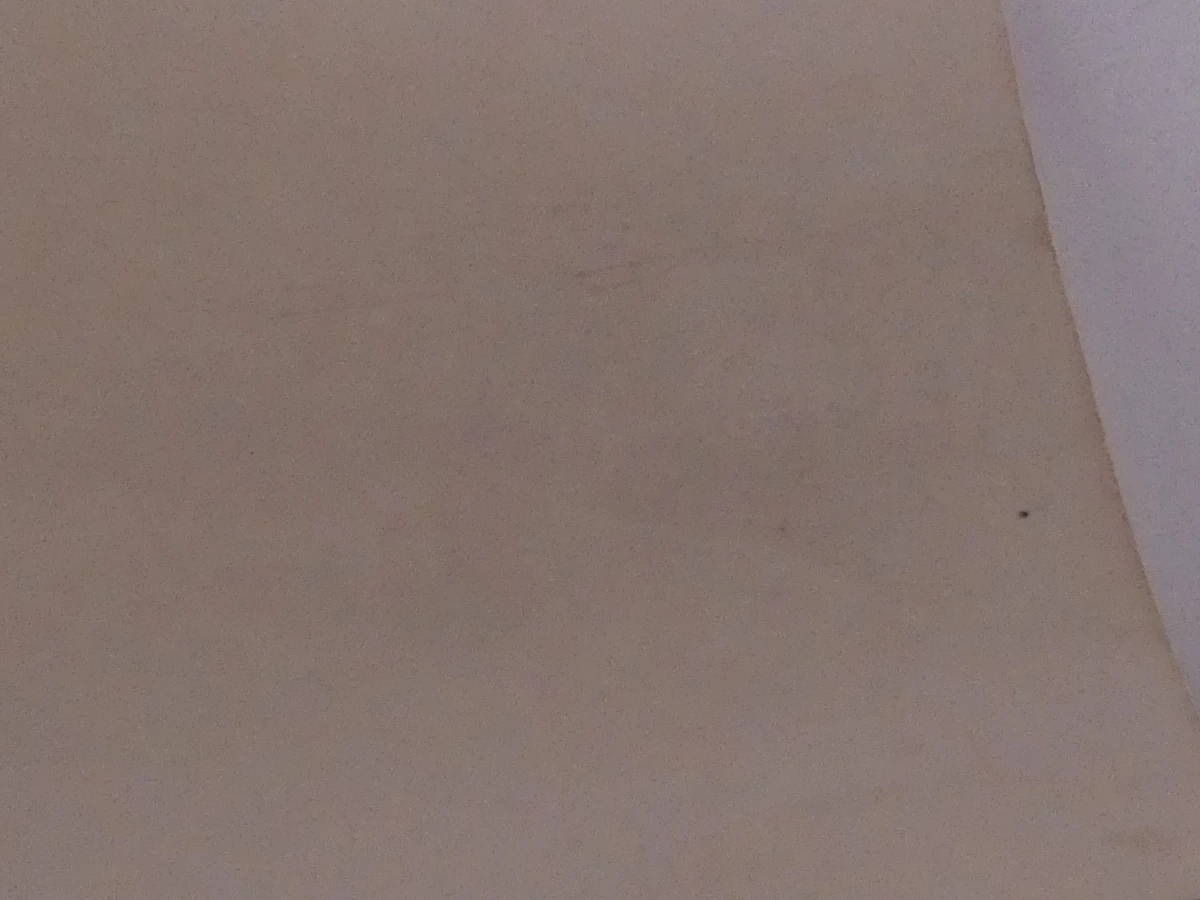 Gesigneerde zeefdruk op papier - foto 5