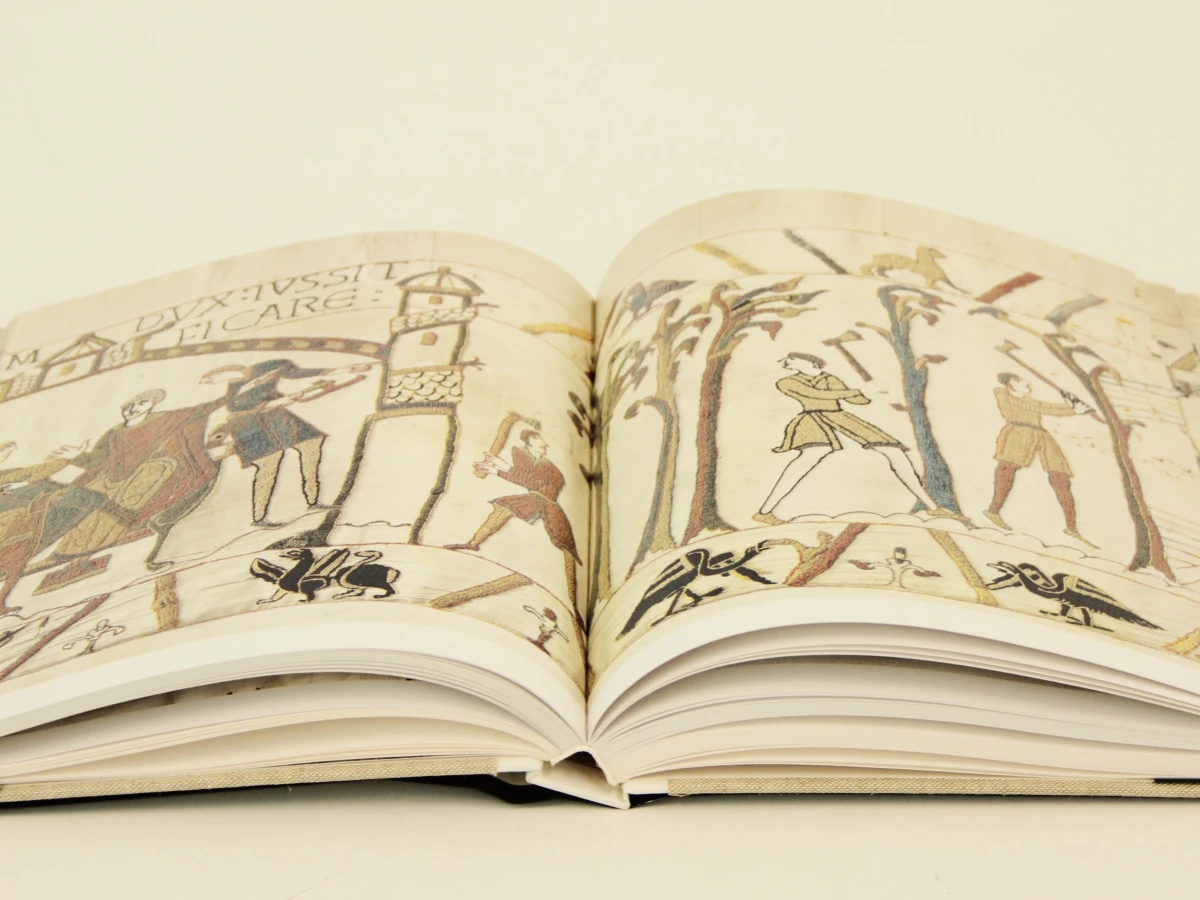 Het tapijt van Bayeux - David Wilson inleiding door Georges Duby Mercatorfonds - foto 6