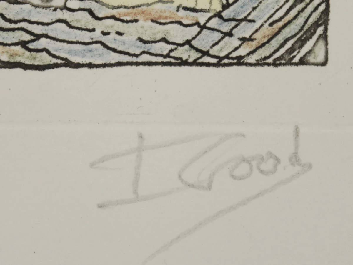 Ivan Good gesigneerd grafisch werk naar Ensor 39/70 - foto 8