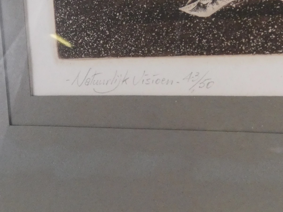 Guido Mariman – "Natuurlijk Visioen" – Gesigneerde Burin-Aquatint-gravure (43/50) - foto 6