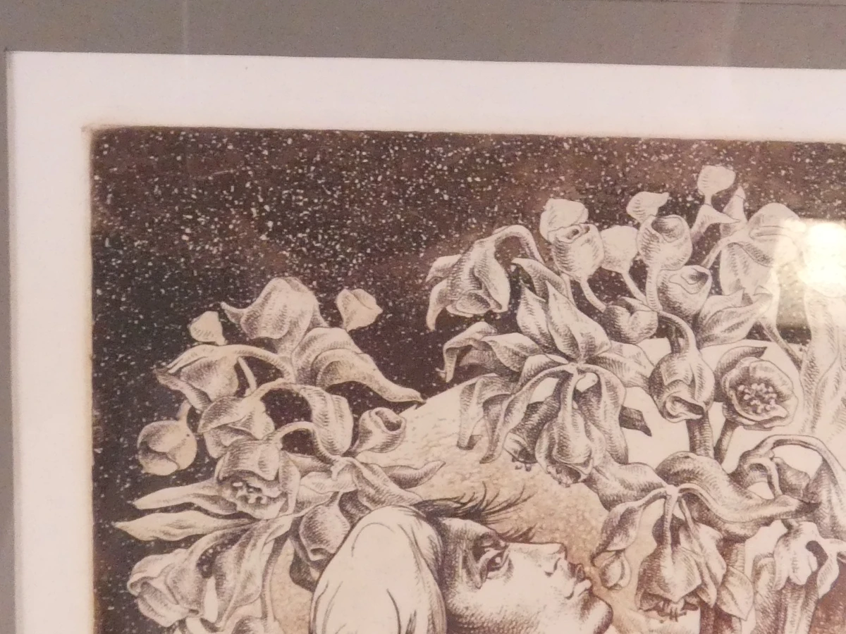 Guido Mariman – "Natuurlijk Visioen" – Gesigneerde Burin-Aquatint-gravure (43/50) - foto 8