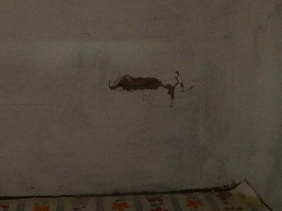 Gevlochten kastje met roze kussen en opbergruimte - foto 11