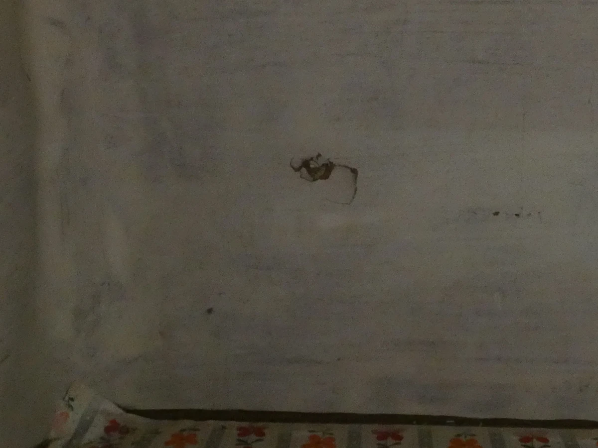 Gevlochten kastje met roze kussen en opbergruimte - foto 12