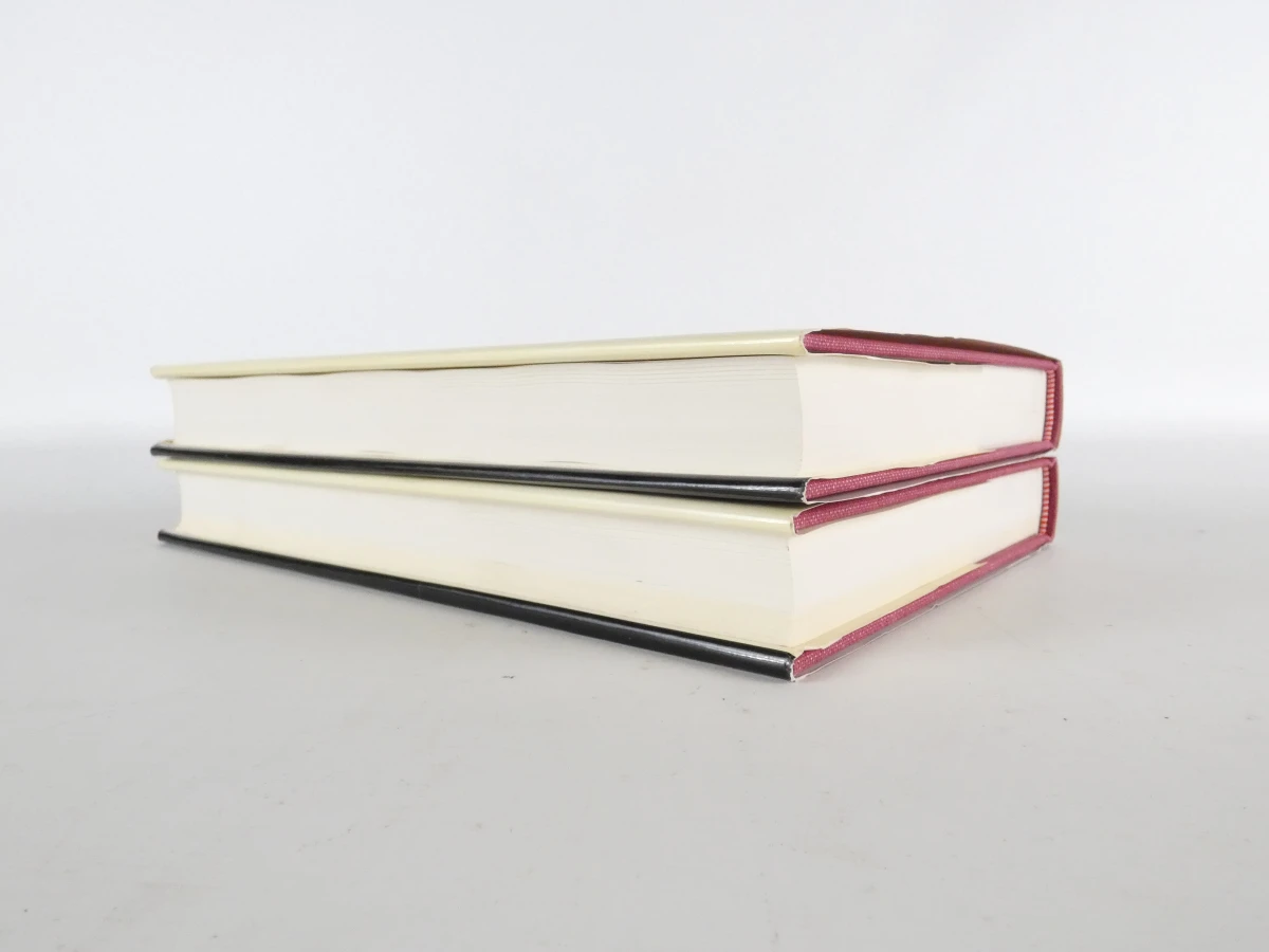 2 kunstboeken Jordaens Drawings III & IV - foto 9