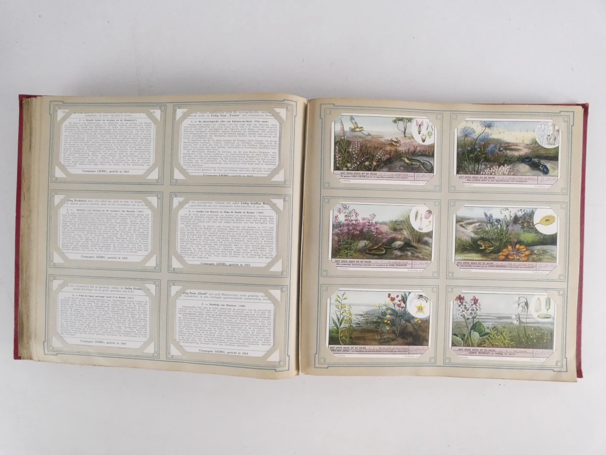 3 vintage Liebig Chromo albums met plaatjes - foto 13