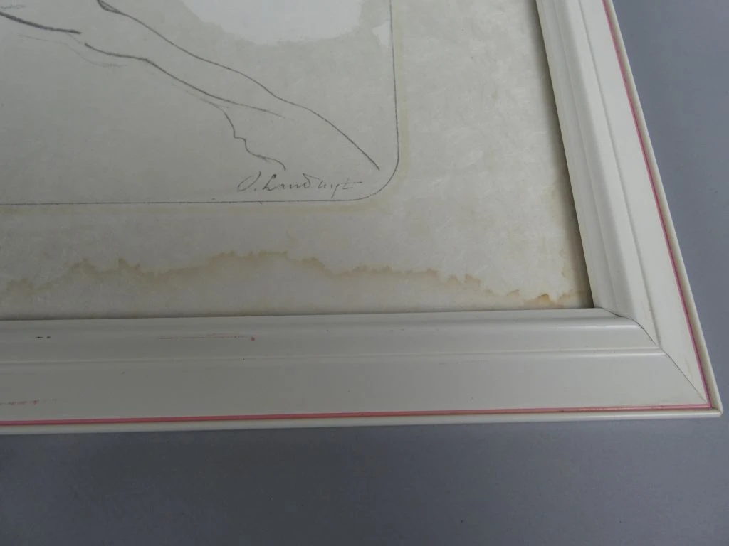 Ingelijste gravure van paarden door Octave Landuyt - foto 7