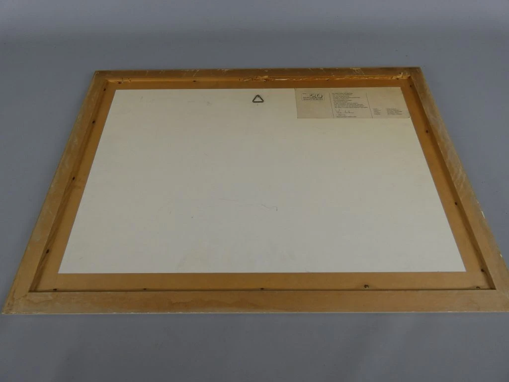 Ingelijste gravure van paarden door Octave Landuyt - foto 6