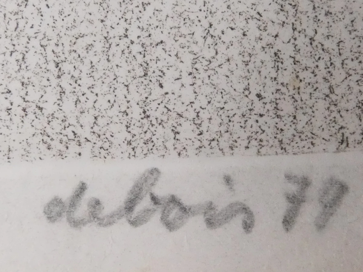 Albert Debois - Ingelijste ets, 46/150 - foto 6
