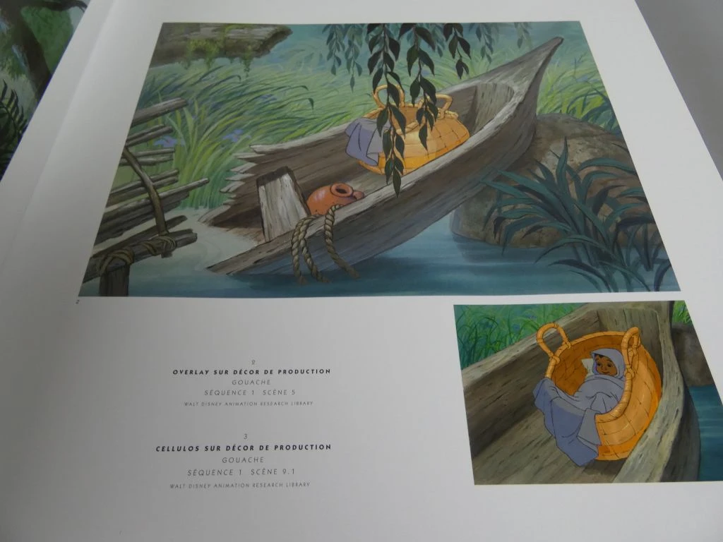 Le Livre de la Jungle - geïllustreerd boek in het Frans - foto 11
