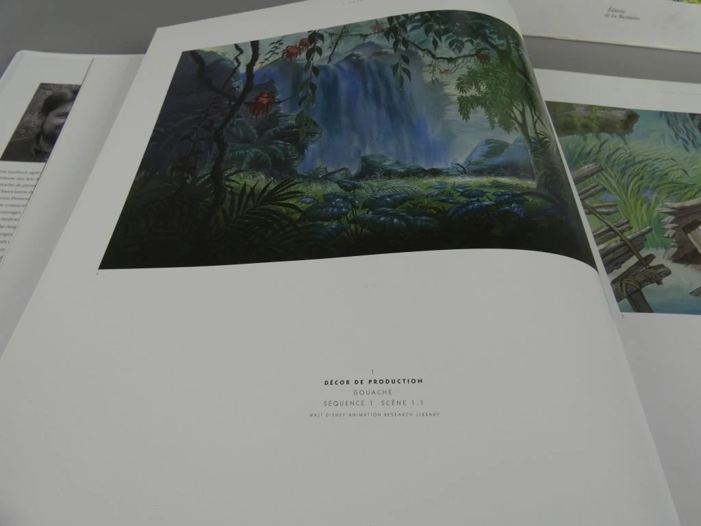 Le Livre de la Jungle - geïllustreerd boek in het Frans - foto 10