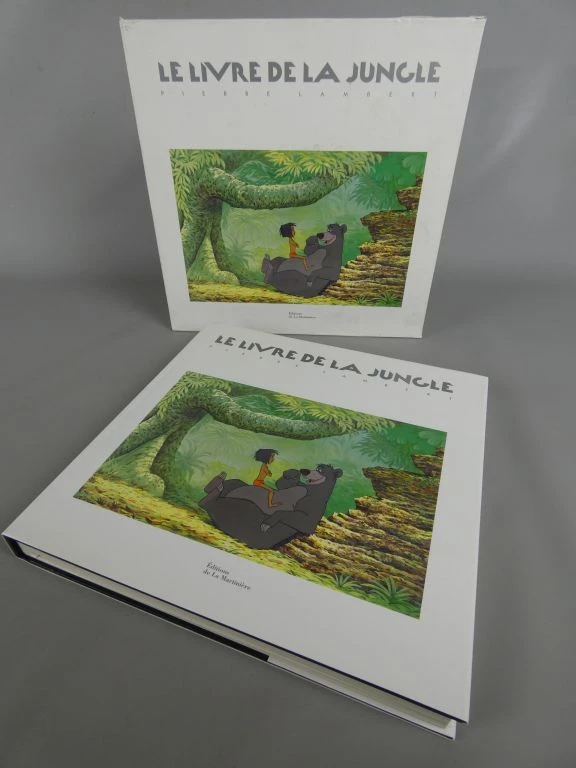Le Livre de la Jungle - geïllustreerd boek in het Frans - foto 3