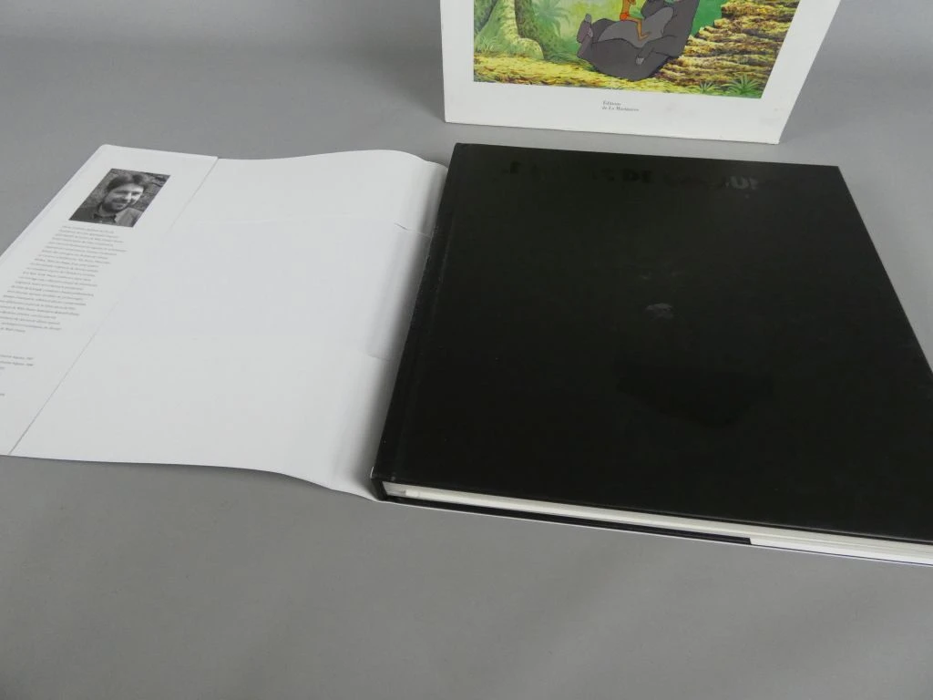 Le Livre de la Jungle - geïllustreerd boek in het Frans - foto 4