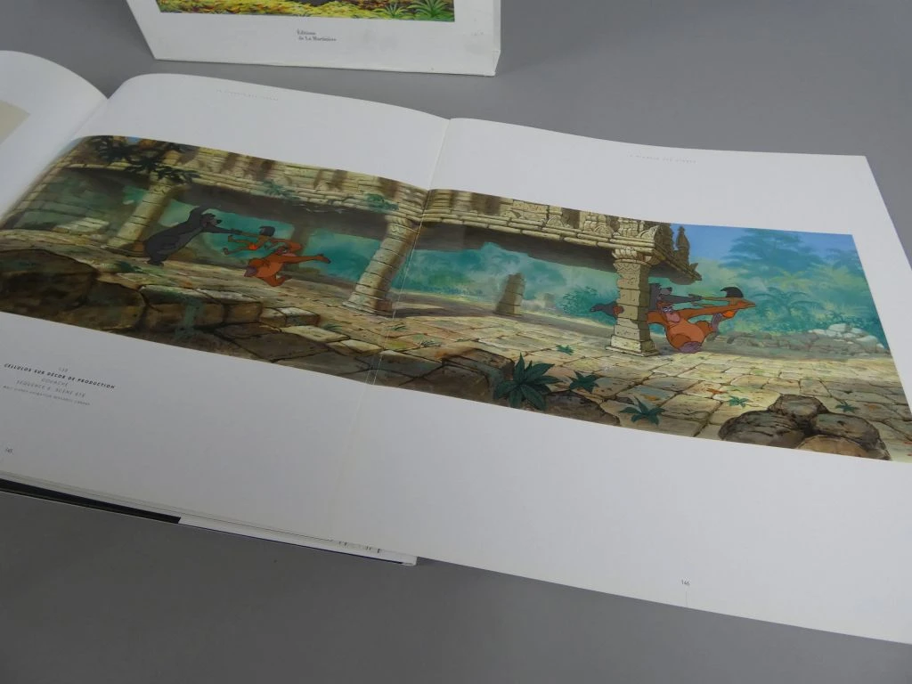 Le Livre de la Jungle - geïllustreerd boek in het Frans - foto 13
