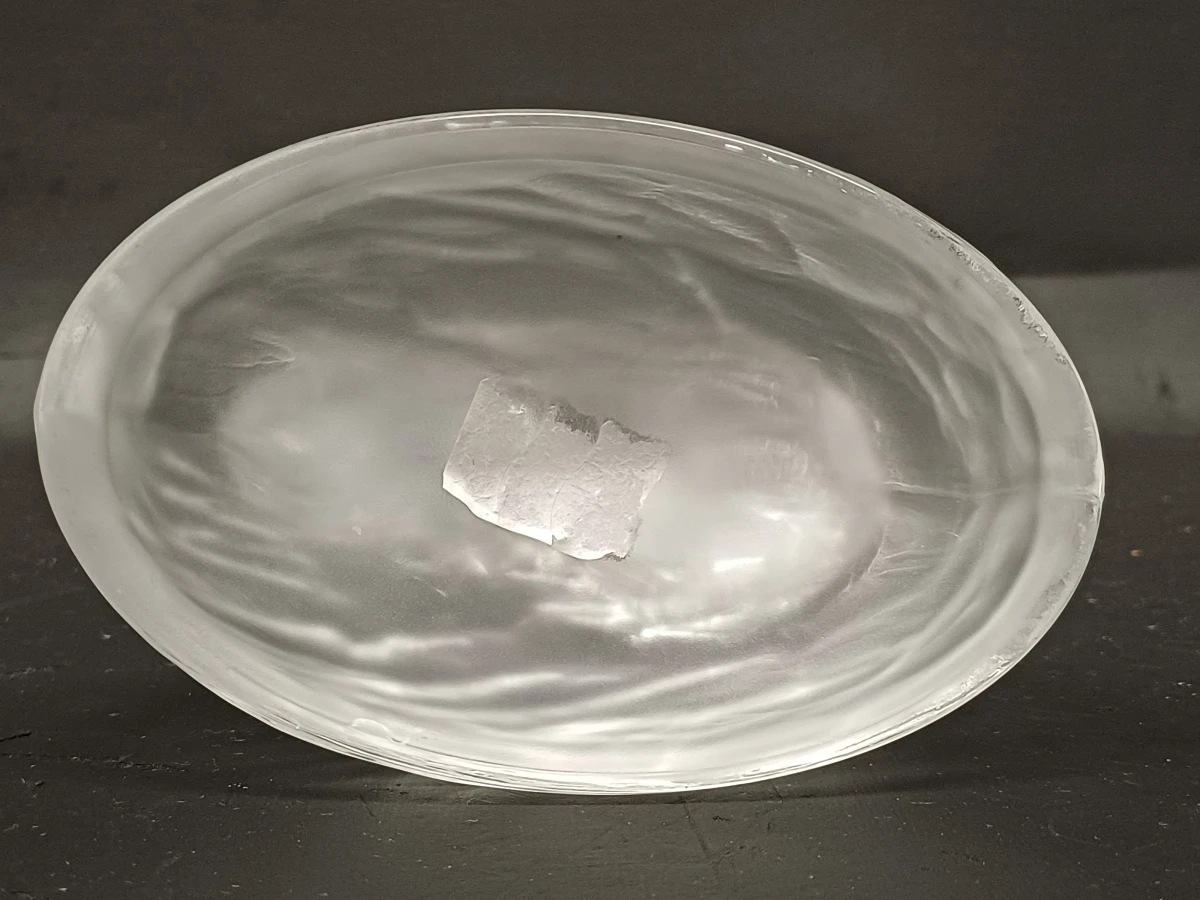 Cristal d'Arques loodkristallen dieren - foto 6