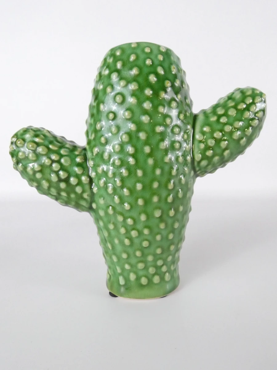 Set van 3 Serax cactusvazen - foto 2