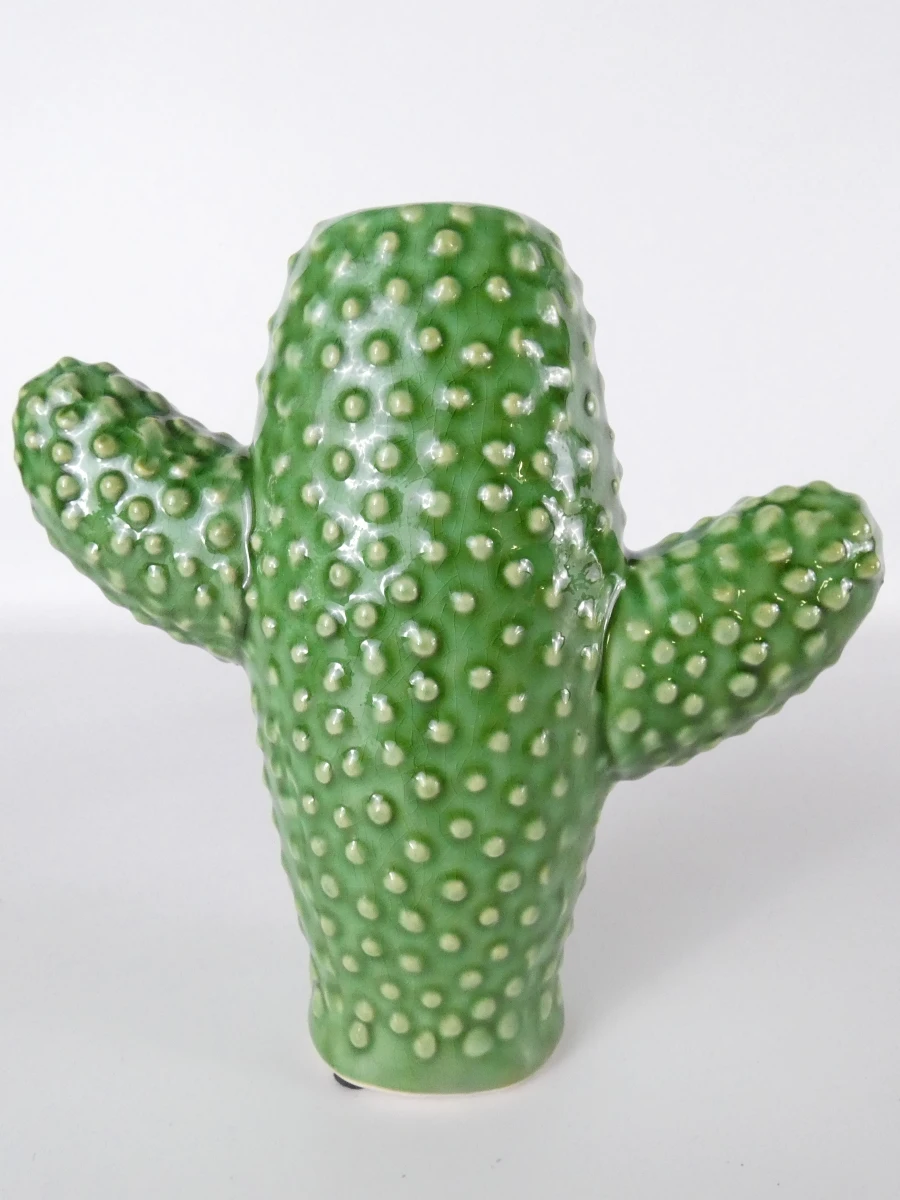 Set van 3 Serax cactusvazen - foto 3