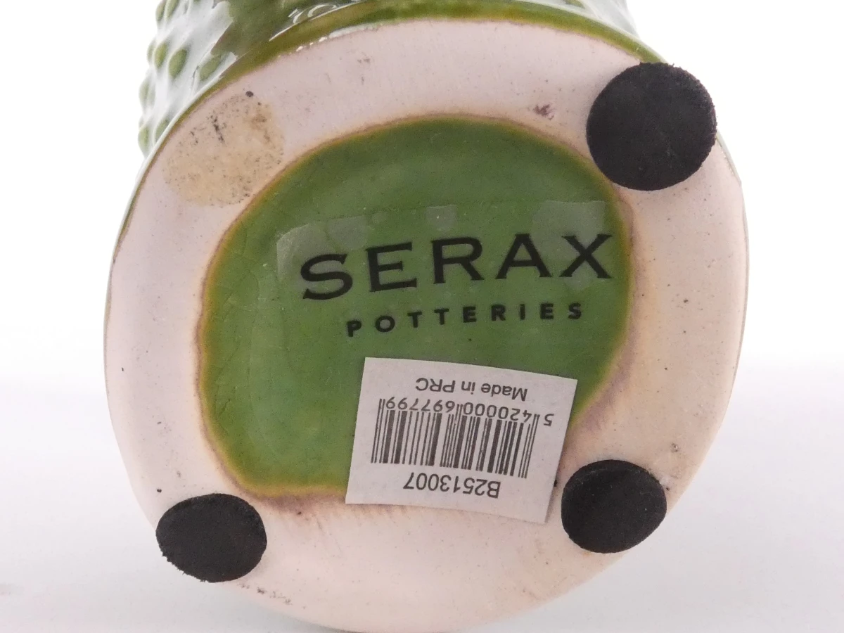 Set van 3 Serax cactusvazen - foto 5