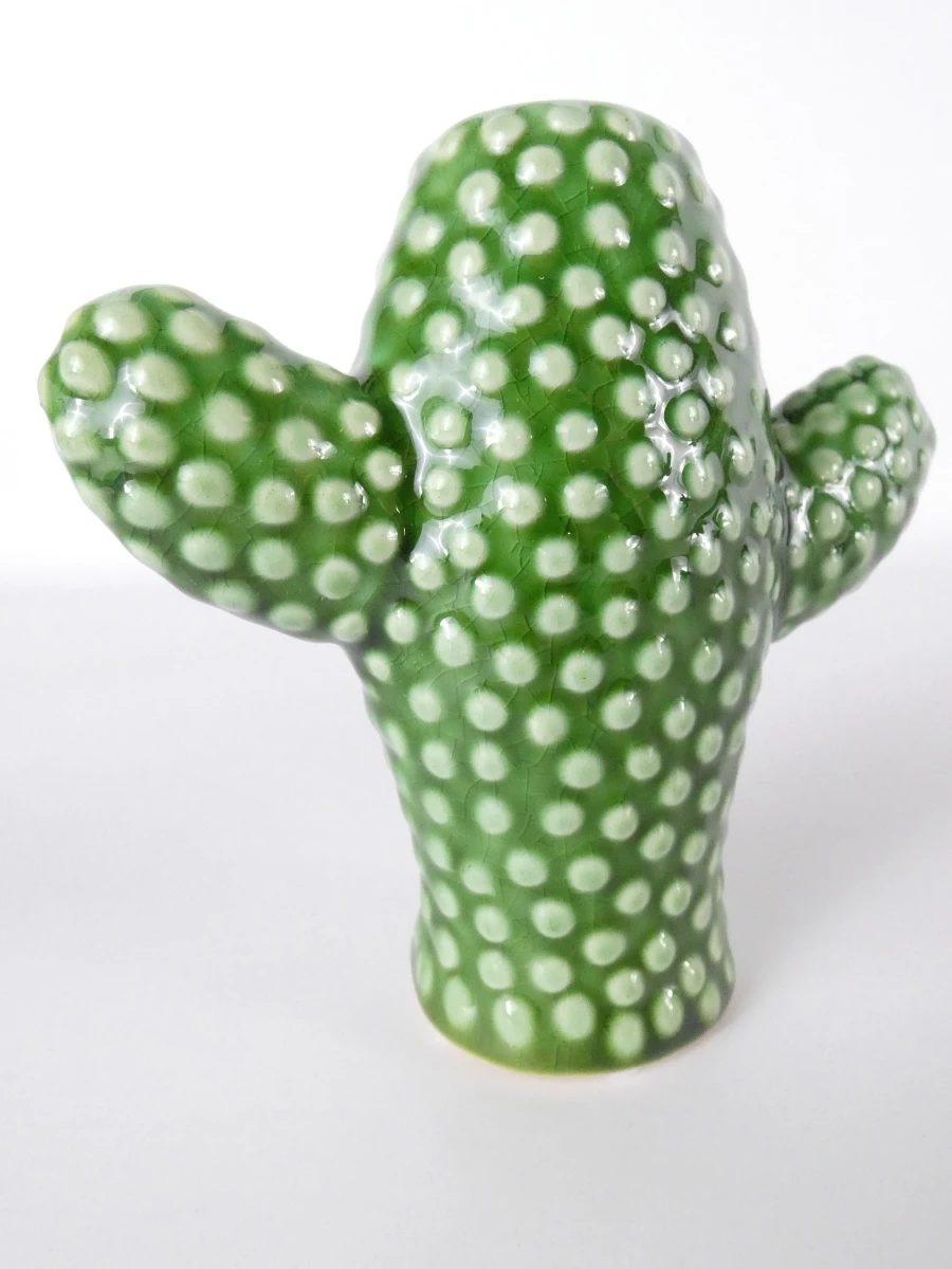 Set van 3 Serax cactusvazen - foto 6