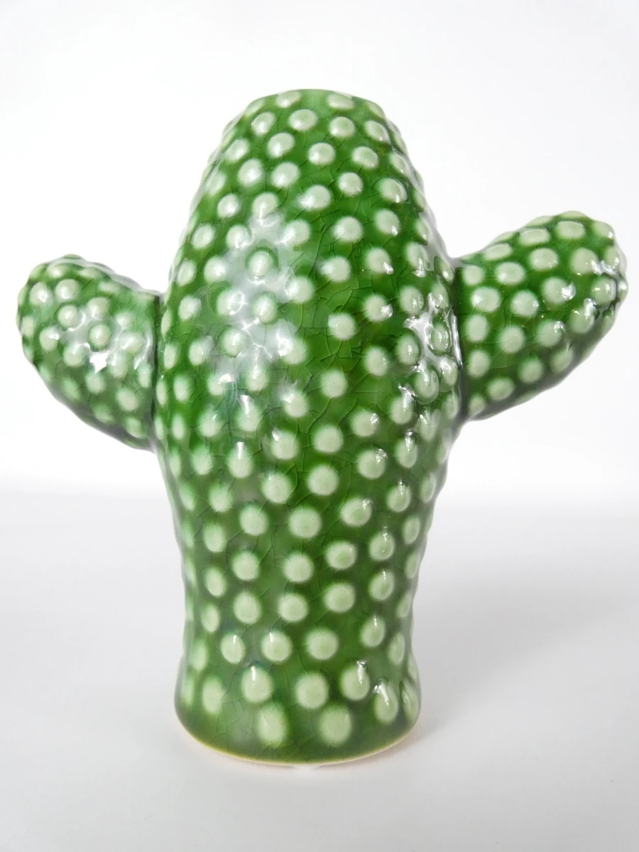 Set van 3 Serax cactusvazen - foto 7