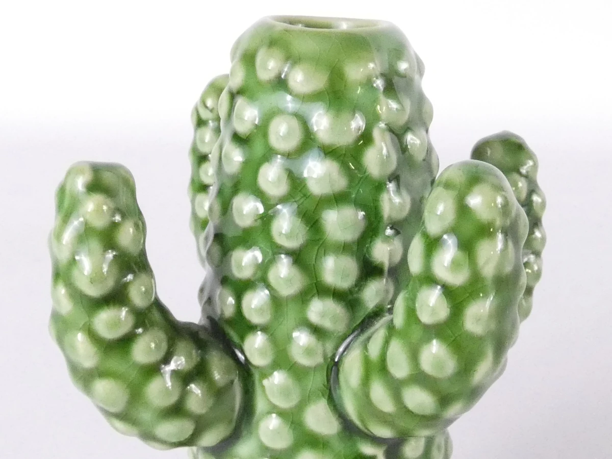 Set van 3 Serax cactusvazen - foto 11