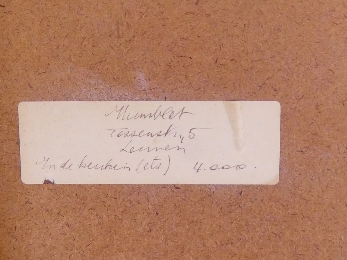 Set van 3 ingelijste kunstwerken van Humblet - foto 19
