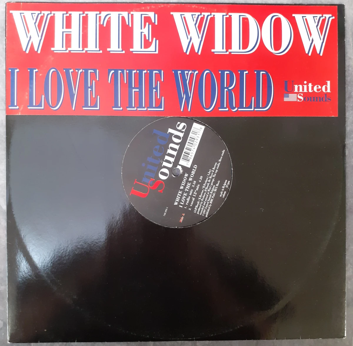 Vinyl: Lot van 8 Retro House Maxi's - foto 23