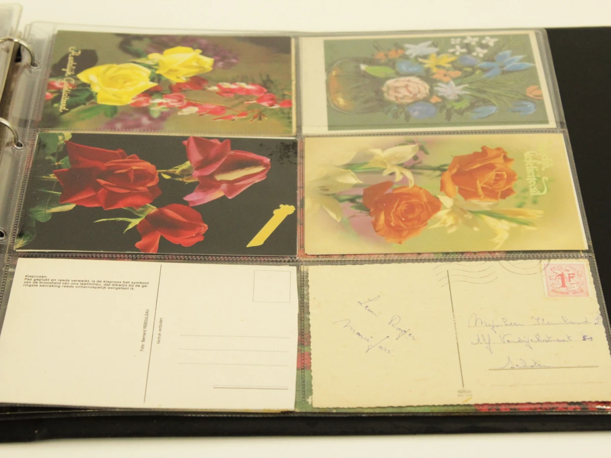 Verzameling oude postkaarten in 5 albums - verschillende thema's - foto 3