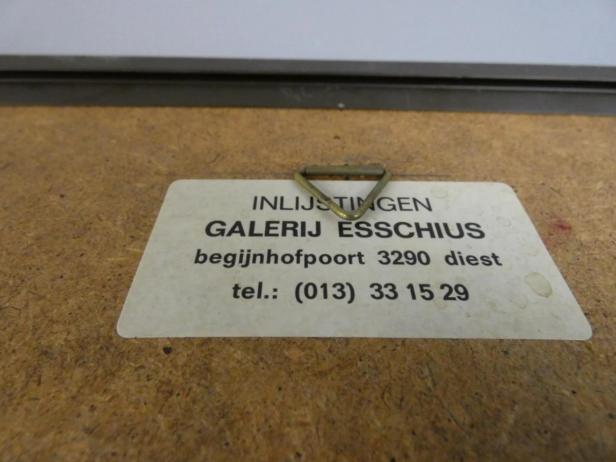 Ingelijste kunstprint / litho - genummerd en gesigneerd "Sadeleer" - foto 7