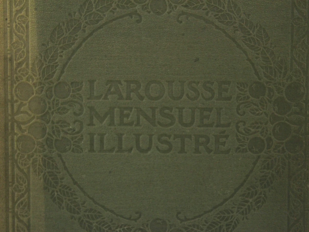 Lot van 14 antieke  Larousse Mensuel Illustré encyclopedieboeken - foto 2