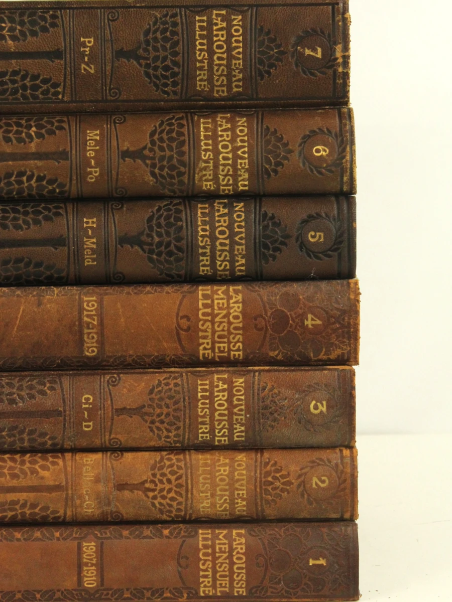 Lot van 14 antieke  Larousse Mensuel Illustré encyclopedieboeken - foto 4