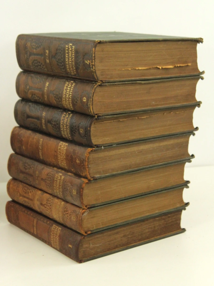 Lot van 14 antieke  Larousse Mensuel Illustré encyclopedieboeken - foto 5