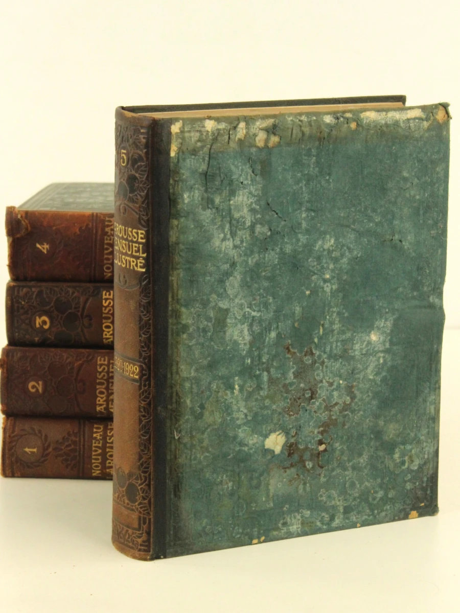 Lot van 14 antieke  Larousse Mensuel Illustré encyclopedieboeken - foto 12