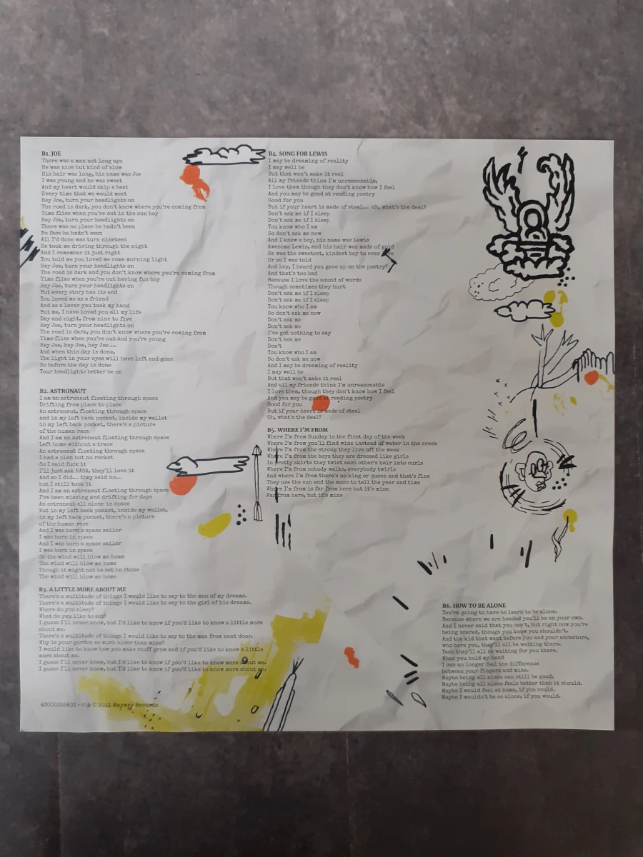 Vinyl: Meskerem Mees - Julius - foto 4