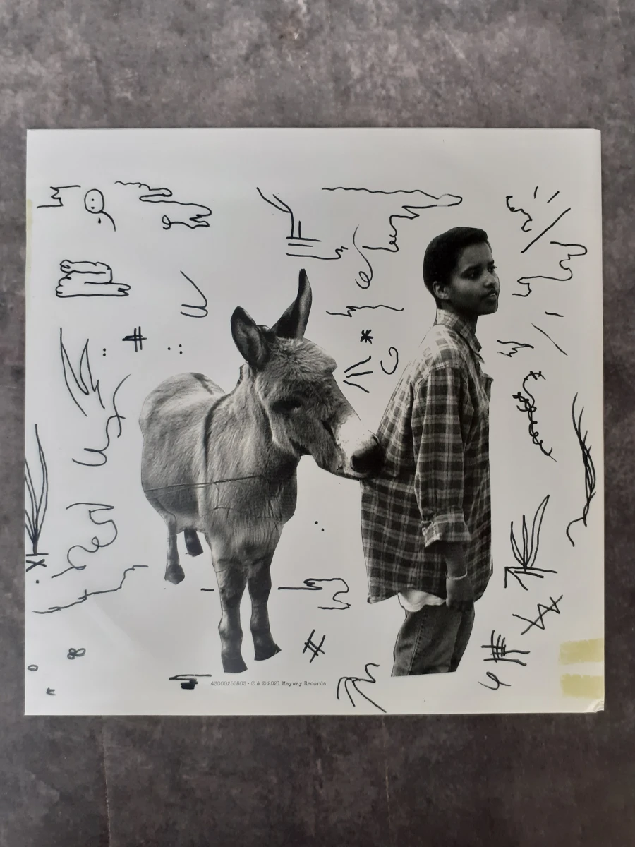 Vinyl: Meskerem Mees - Julius - foto 6