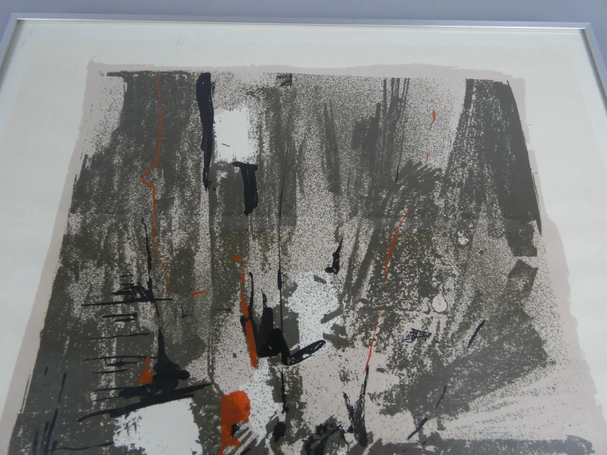 Kunstwerk expressionistische kleurenlitho Roswitha Lüder - foto 2