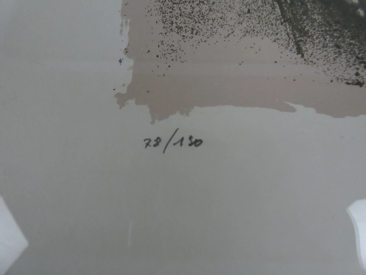 Kunstwerk expressionistische kleurenlitho Roswitha Lüder - foto 4