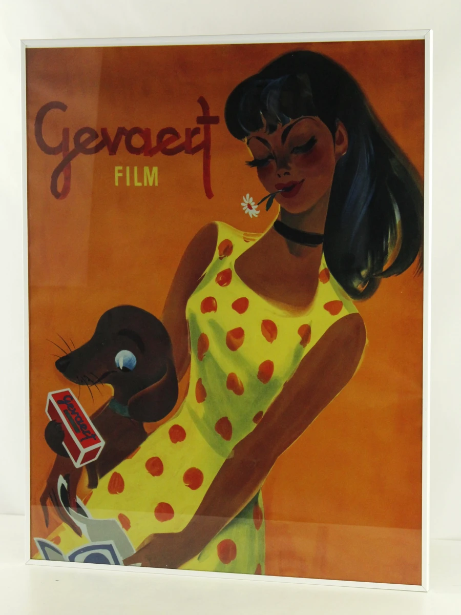 Gevaert Film reclameposter van vrouw met hond - foto 2