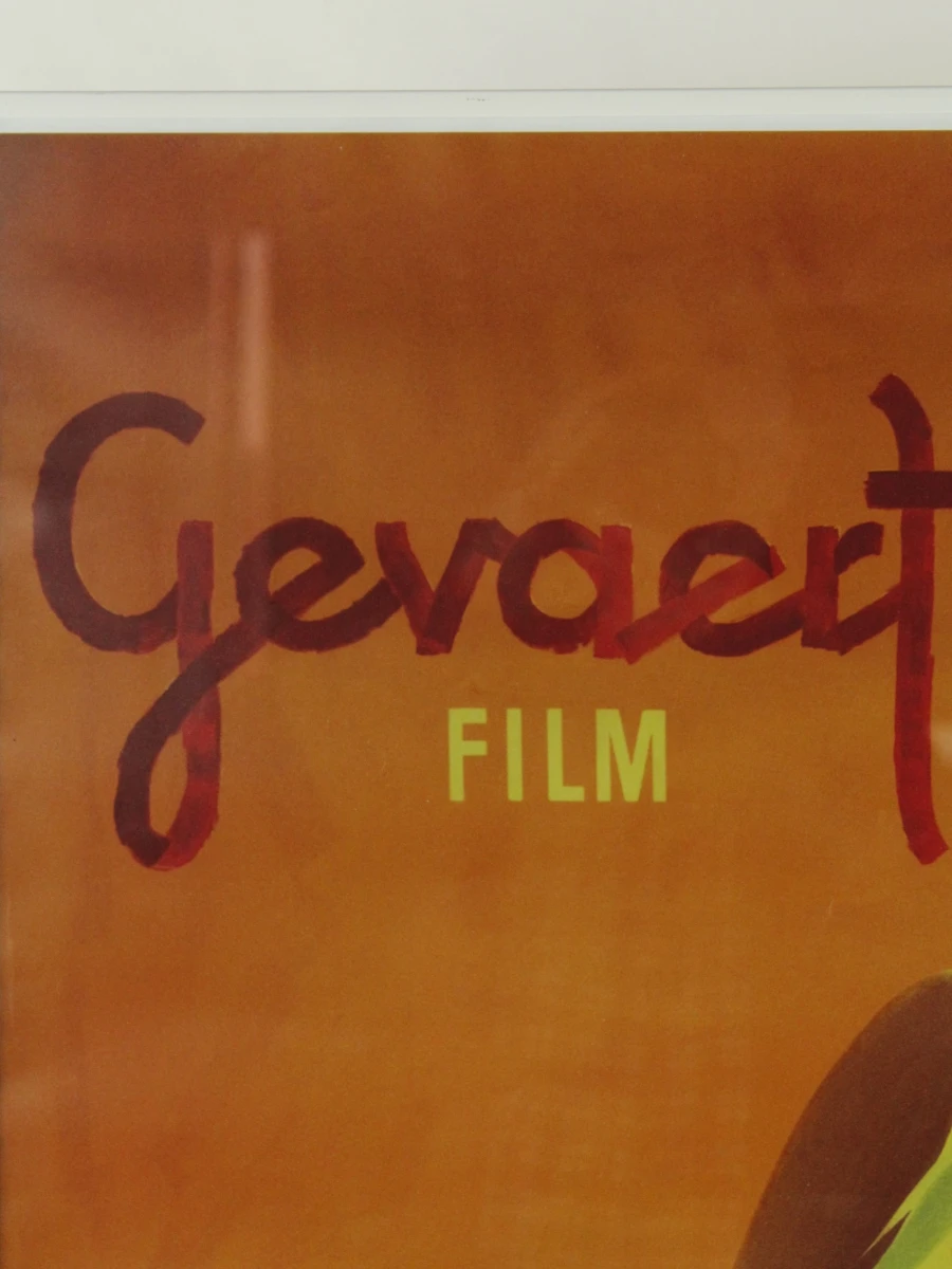 Gevaert Film reclameposter van vrouw met hond - foto 3