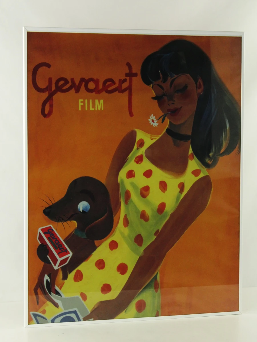 Gevaert Film reclameposter van vrouw met hond - foto 6
